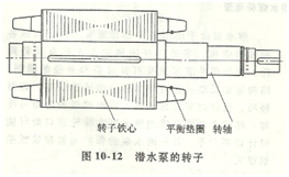 潛水泵轉子示意圖