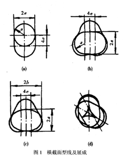 大東海泵業(yè)螺桿泵轉(zhuǎn)子示意圖1