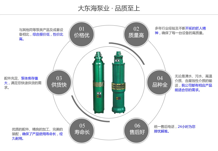 大東海泵業(yè)深井潛水泵質(zhì)量保證圖