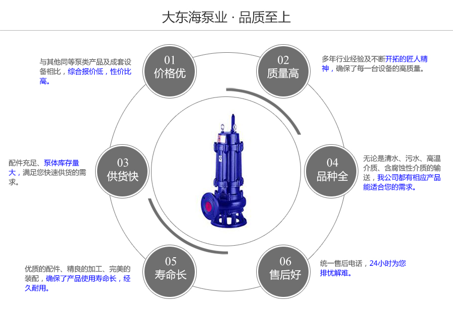 大東海泵業(yè)無(wú)堵塞排污泵質(zhì)量保證圖