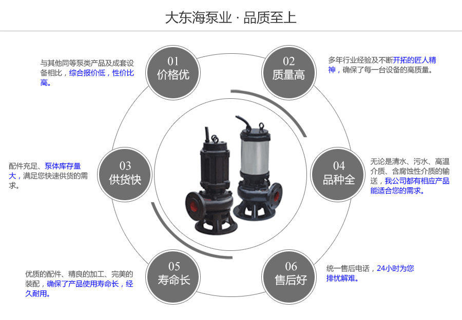 大東海泵業(yè)WQ排污泵質(zhì)量保證圖