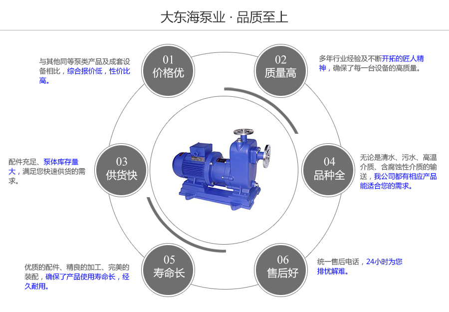 大東海泵業(yè)自吸式磁力泵質(zhì)量保證圖