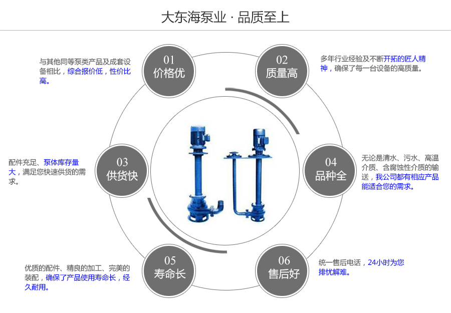 大東海泵業(yè)無(wú)堵塞液下泵質(zhì)量保證圖